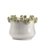 Whimsical Frog Planter – White & Green Stoneware (7" Pot)