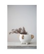 Rustic Terracotta Footed Planter – 12" Pot with Rattan Handles