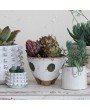 Hand-Painted Stoneware Footed Planter | Matte White, Green & Natural