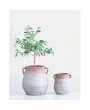Terracotta Urn with Whitewash Finish | Decorative Home Accent