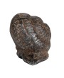 Cast Iron Snail – Rustic Home & Garden Decorative Accent