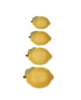 Hand-Painted Stoneware Lemon Measuring Cups, Set of 4
