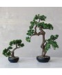 Faux Bonsai Tree in Ceramic Pot – Elegant & Low-Maintenance Décor