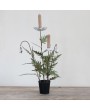 Hand-Painted Vintage Taper Holders – Farmhouse Candle Décor