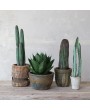 Faux Vatricania Cactus in Plastic Pot – Lifelike Desert Decor