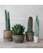 Faux Vatricania Cactus in Plastic Pot – Lifelike Desert Decor