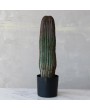 Faux Vatricania Cactus in Plastic Pot – Lifelike Desert Decor