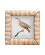 Hand-Carved Bone & MDF Photo Frame – Holds 4" x 4" Picture