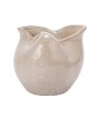 Stoneware Shell Planter – Reactive Glaze, White, Coastal Accent