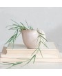 Stoneware Shell Planter – Reactive Glaze, White, Coastal Accent