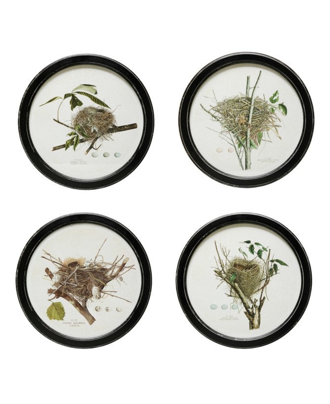 Vintage Nest Print Framed Wall Decor – Set of 4 Boho-Inspired Styles