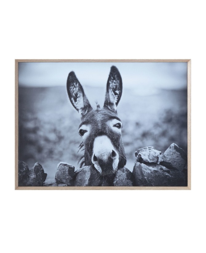 Framed Canvas Wall Décor with Donkey - Rustic Boho Photography Art