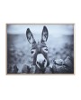Framed Canvas Wall Décor with Donkey - Rustic Boho Photography Art