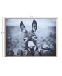 Framed Canvas Wall Décor with Donkey - Rustic Boho Photography Art