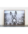 Framed Canvas Wall Décor with Donkey - Rustic Boho Photography Art
