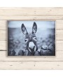 Framed Canvas Wall Décor with Donkey - Rustic Boho Photography Art