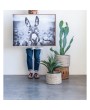 Framed Canvas Wall Décor with Donkey - Rustic Boho Photography Art