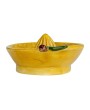 Hand-Painted Stoneware Lemon Juicer – Rustic Farmhouse Kitchen