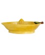 Hand-Painted Stoneware Lemon Juicer – Rustic Farmhouse Kitchen