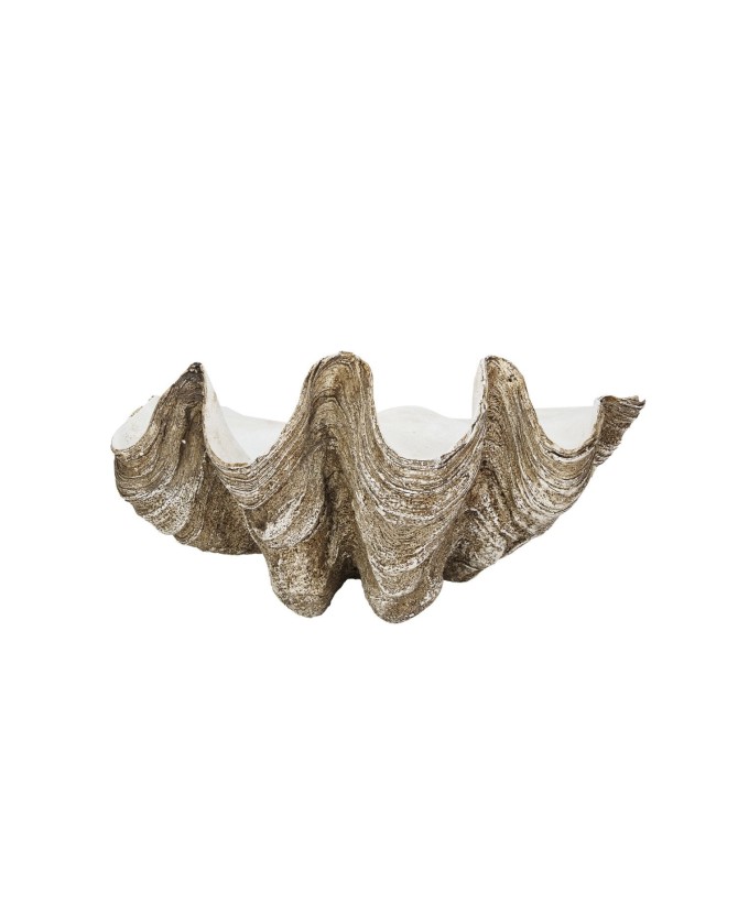 Decorative Resin Clam Shell Wall Container - Heavily Distressed Finish