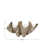Decorative Resin Clam Shell Wall Container - Heavily Distressed Finish
