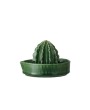 Cactus-Shaped Stoneware Juicer – Green, Boho Kitchen Essential