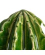 Cactus-Shaped Stoneware Juicer – Green, Boho Kitchen Essential