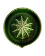 Cactus-Shaped Stoneware Juicer – Green, Boho Kitchen Essential