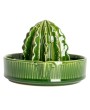 Cactus-Shaped Stoneware Juicer – Green, Boho Kitchen Essential