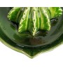 Cactus-Shaped Stoneware Juicer – Green, Boho Kitchen Essential