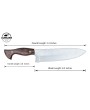 Almazan® Custom Handmade Hunting Knife with Color Wood Handle - Versatile Stainless Steel Blade