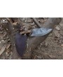 Almazan® Wilderness Series Custom Handmade Carbon Steel Hunting Knife with Color Wood Handle and Leather Sheath