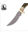 Mountain Hunter Fixed Blade Knife with Round Design Stag Handle