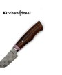 Custom Handmade Kitchen Steel Paring Knife