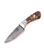 Holiday Outdoor Knives Set: Essential Gear for Explorers