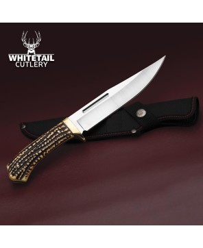 Hunting Knife - Stainless Steel & Stag Horn