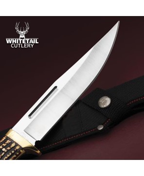 Hunting Knife - Stainless Steel & Stag Horn