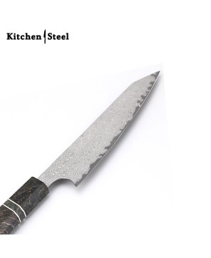 Professional VG-10 Damascus Kitchen Knife - Precision and Versatility