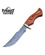 Damascus Hunting Knife Wood & Brass Handle