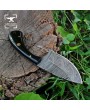 Essential Skinning Knife for Hunters