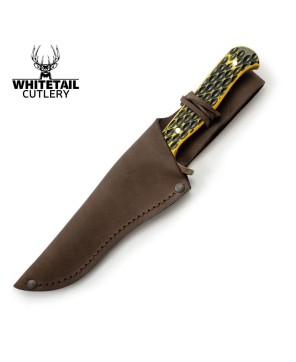 Whitetail Cutlery trail guide, jigged bone Handle Hunting Knife