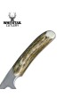 Whitetail Cutlery Knives: Whitetail Cutlery Backwoods Pro Knife, Slab Handle