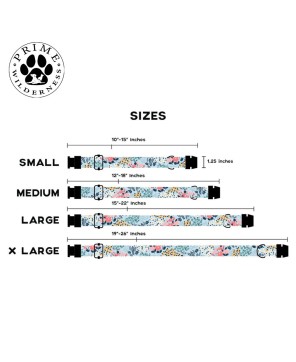 Premium Dog Collars Collection
