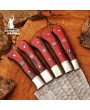 Damascus Steel Chef Knives Set