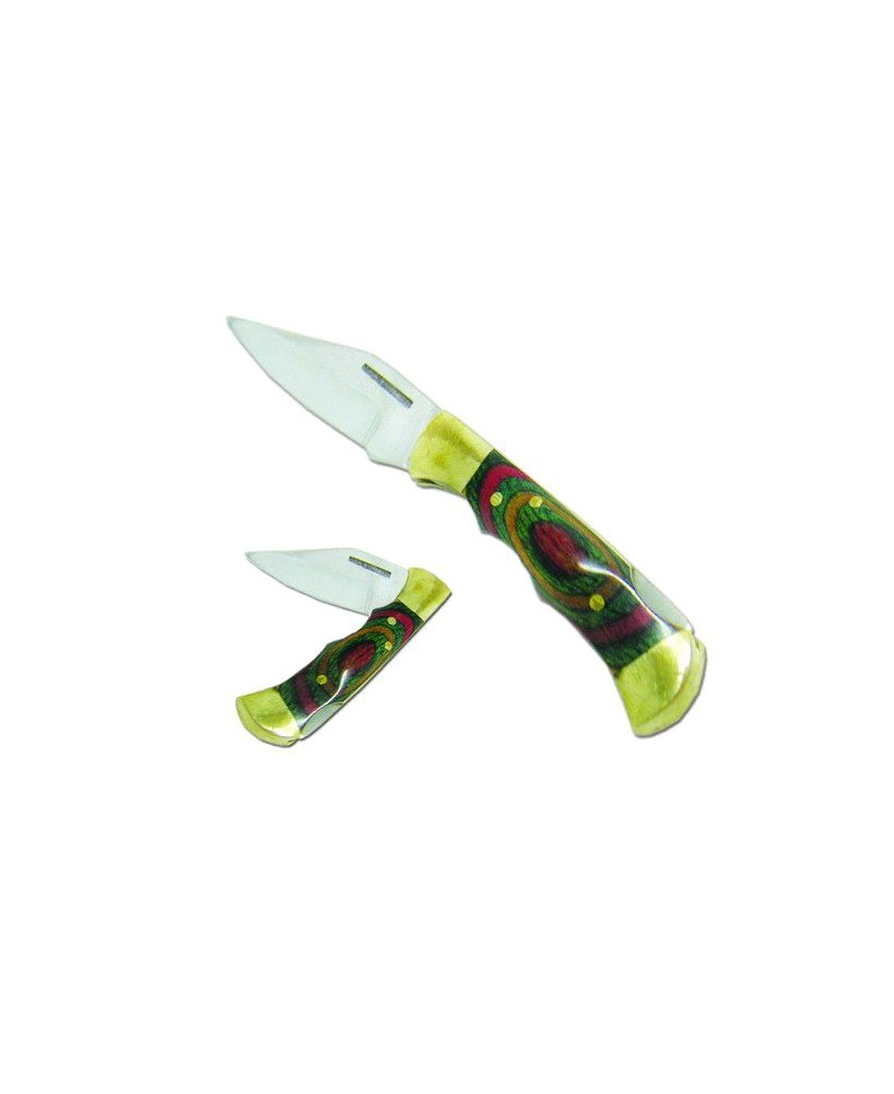 Colorwood Grip Stainless Steel Folder Knife