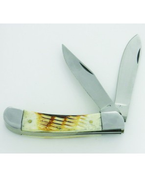 Rugged Bone Handle Pocket Knife