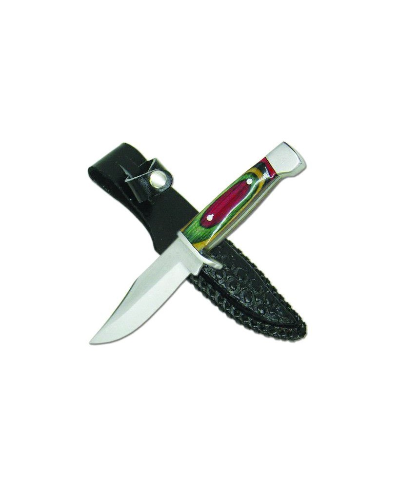 Colorwood Handle Buck Ridge Hunter Knife