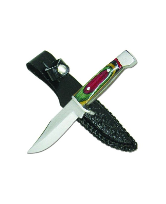 Colorwood Handle Buck Ridge Hunter Knife
