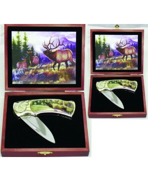 Canadian Elk Masterful Design Box Knife - Collectible Artistry