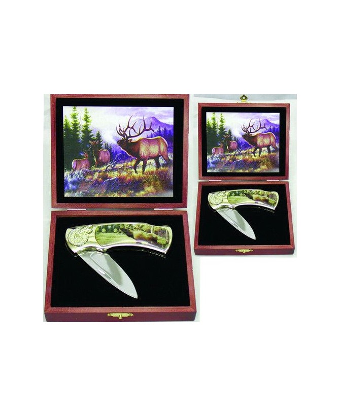 Canadian Elk Masterful Design Box Knife - Collectible Artistry